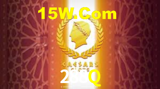 288q.com