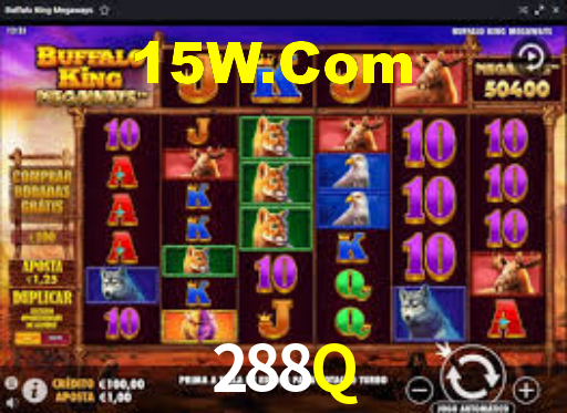 288q.com